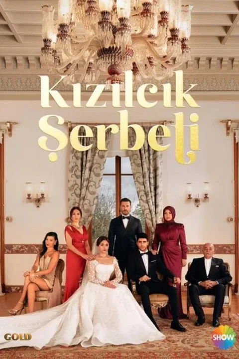 Смотреть сериал Кизиловый щербет (2022) онлайн в хорошем качестве 720-1080 HD, бесплатно на русском языке
